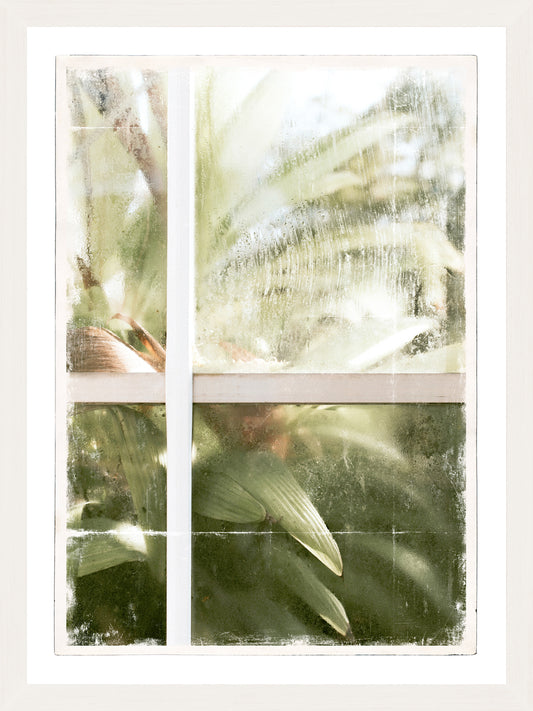 Greenhouse Series I