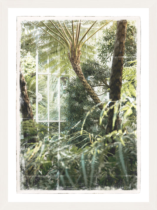 Greenhouse Series II