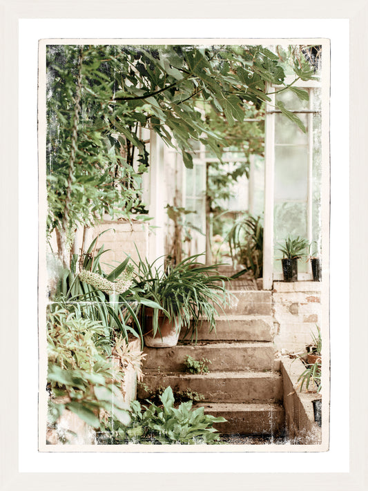 Greenhouse Series III