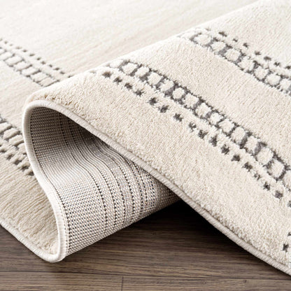 Ryuu Ivory & Gray Area Rug