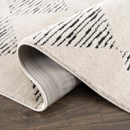 Fauci Diamond Checkered Area Rug
