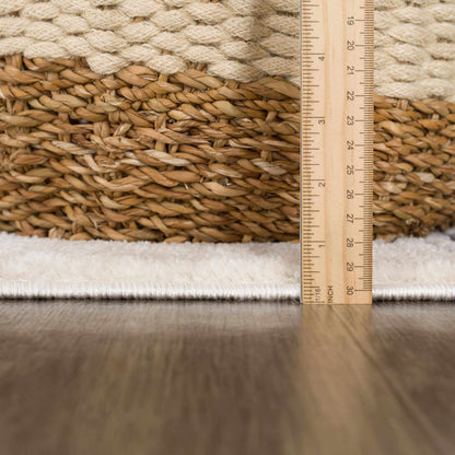 Fauci Diamond Checkered Area Rug