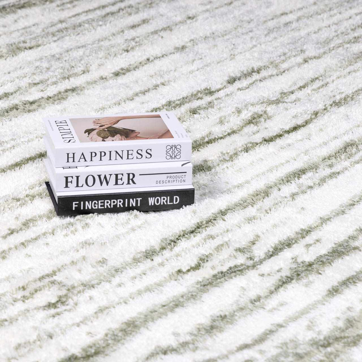 Hauteloom Lucus Plush Rug