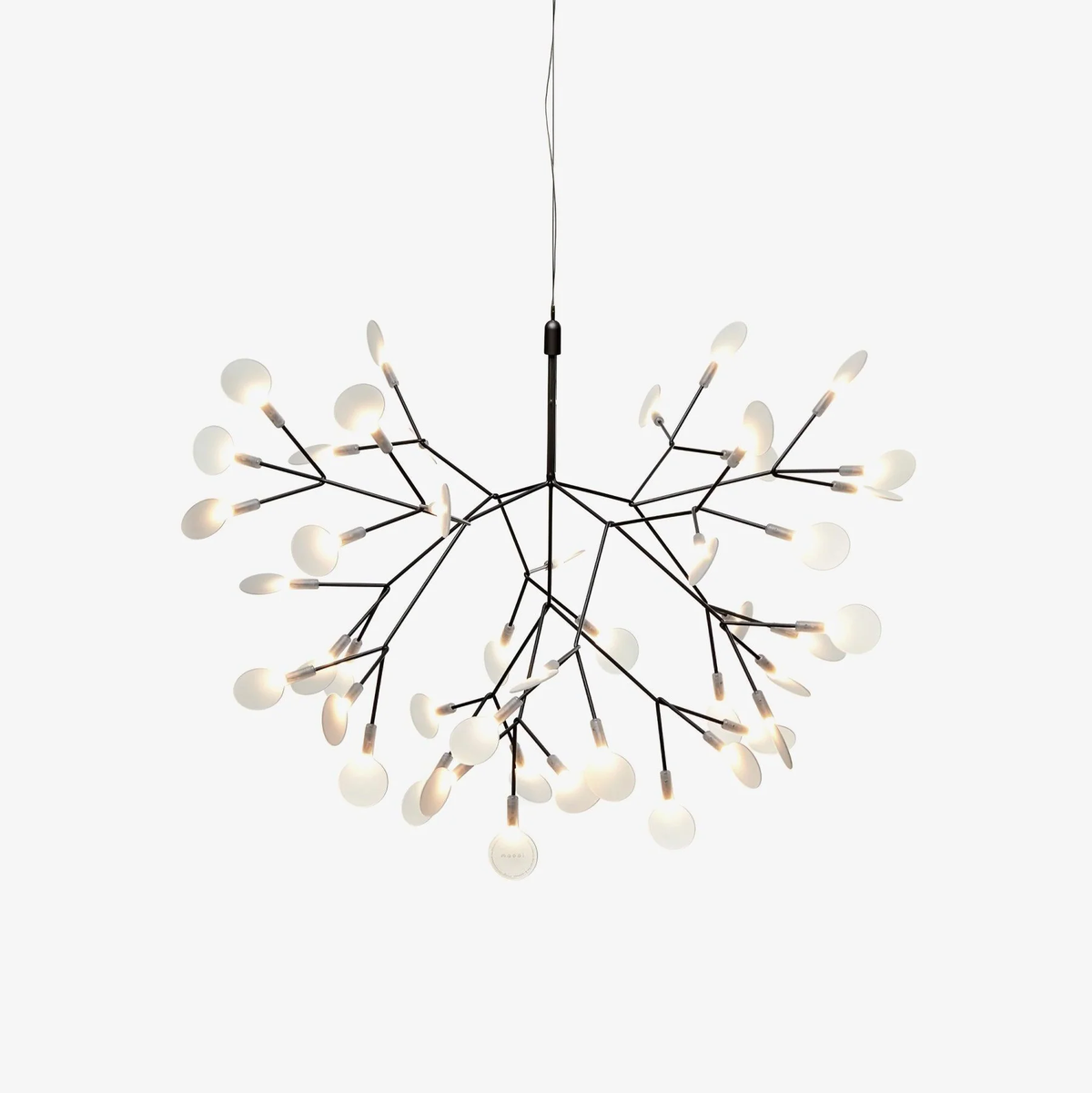 Heracleum Chandelier