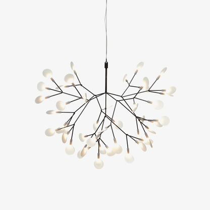 Heracleum Chandelier