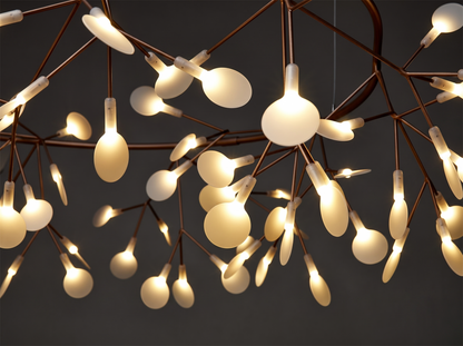 Heracleum Chandelier