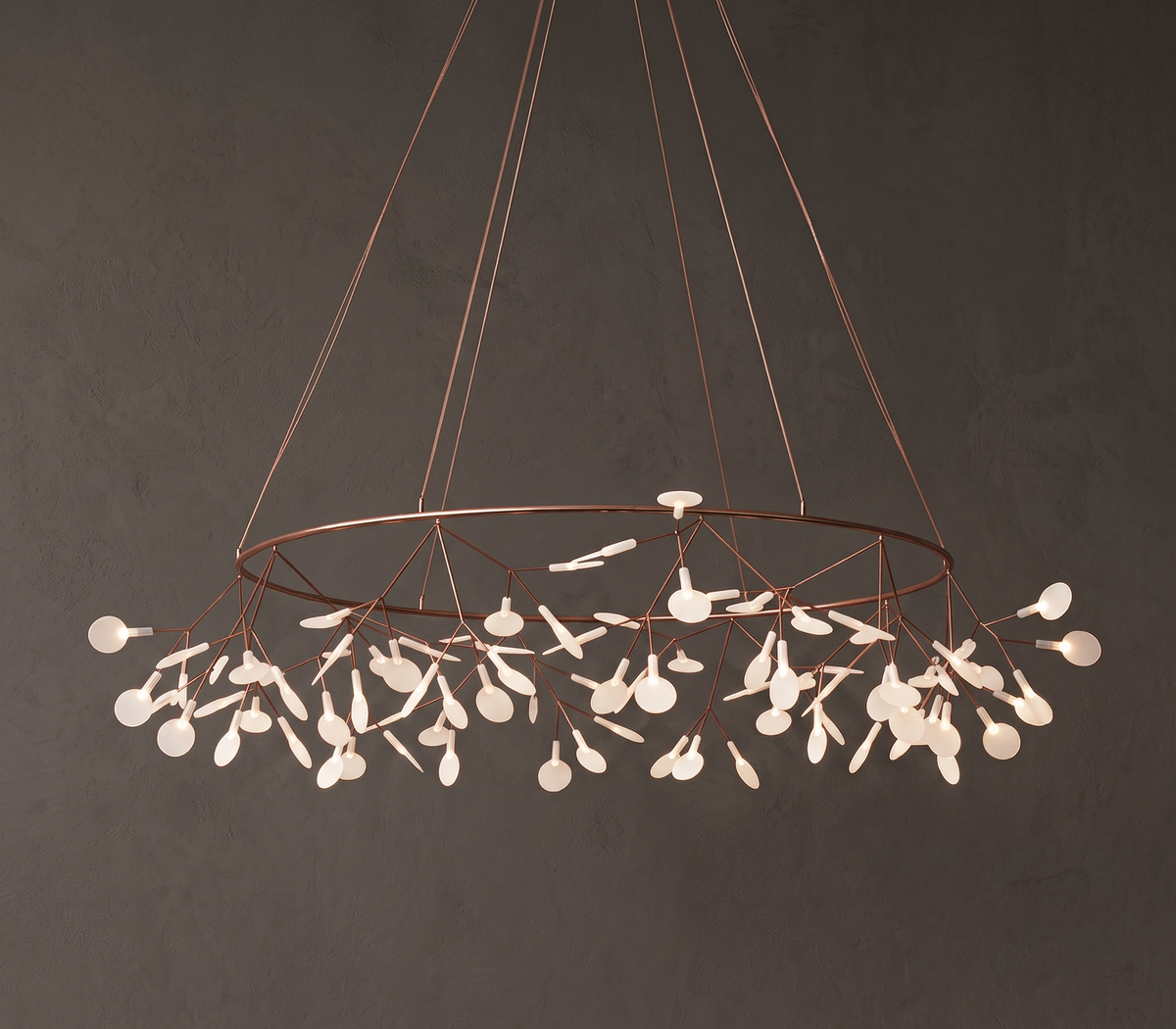 Heracleum Chandelier