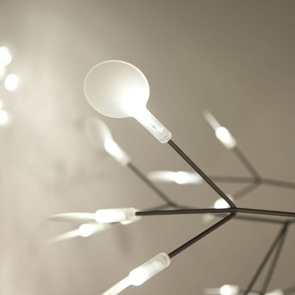 Heracleum Chandelier