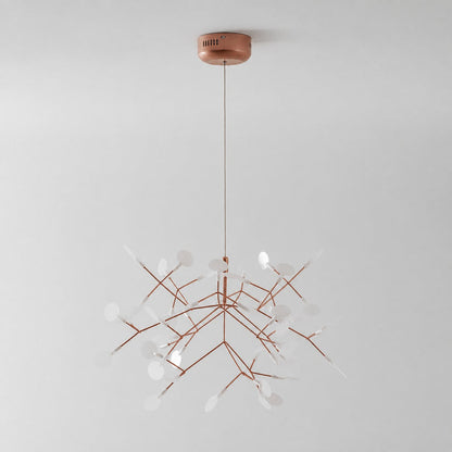 Heracleum Chandelier