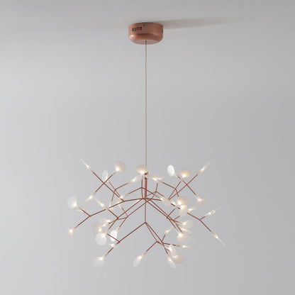 Heracleum Chandelier