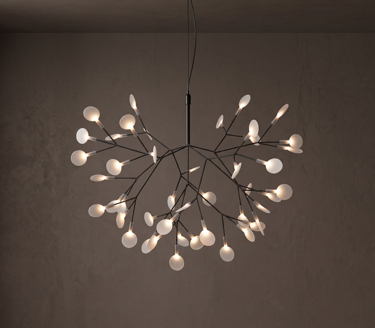 Heracleum Chandelier