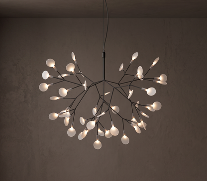 Heracleum Chandelier