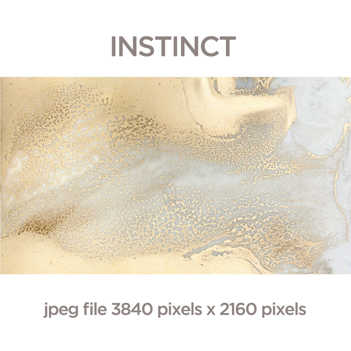 Instinct - Digital Download