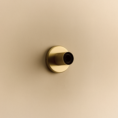 Lochan Wall Light in Brass