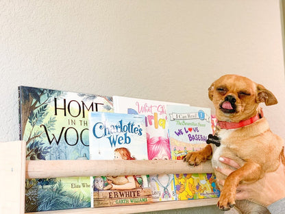 JUDE- Wall Shelf