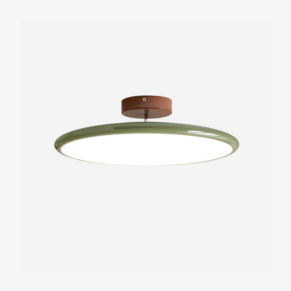 Drift Adjustable Ceiling Lamp