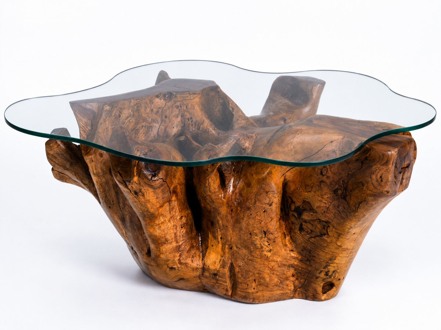 Sculptural Costa Rican Root Coffee Table Reserva Collection — No. 07