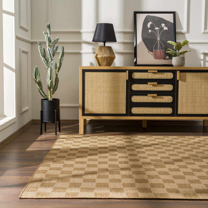 Kuval Checkered Brown Outdoor Rug.