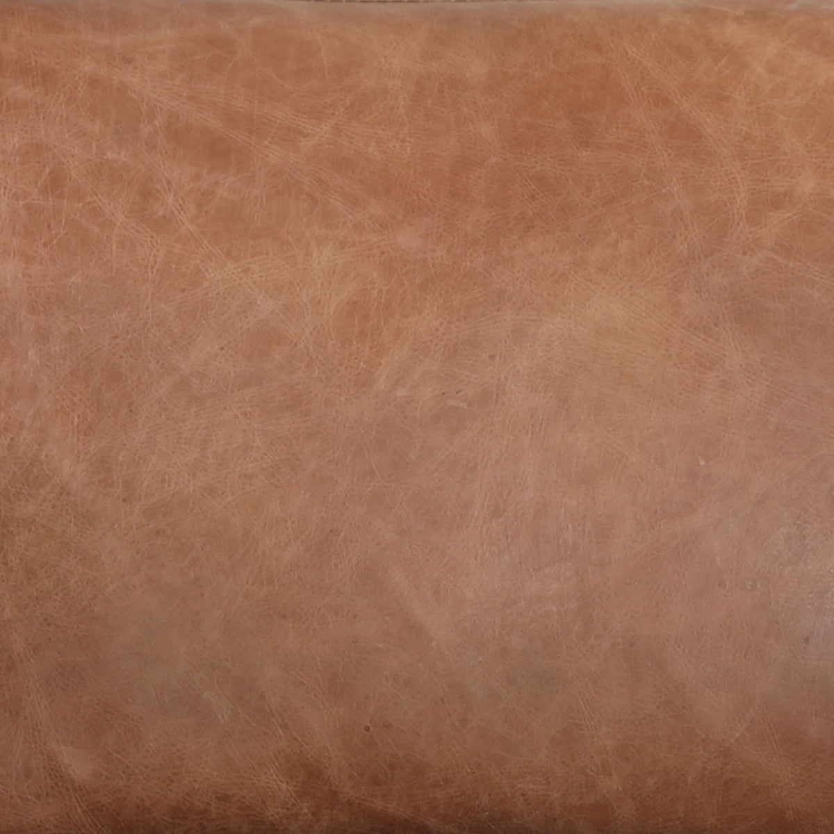 Dagwood Leather Armchair Open Road Brown - view 6
