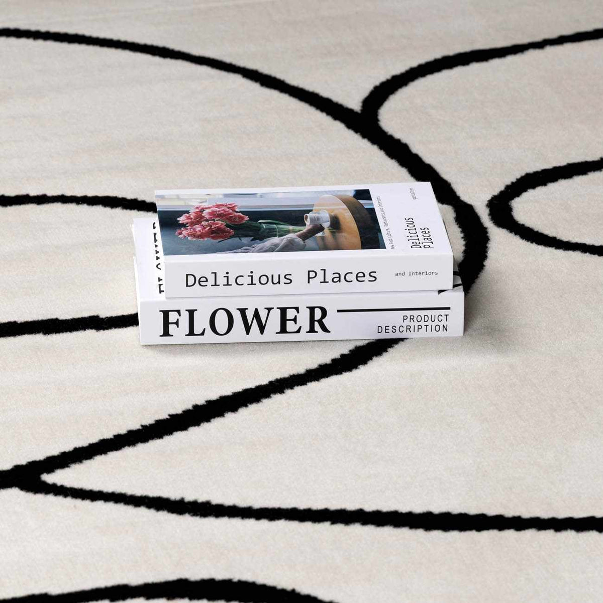 Eilir Modern Low Profile Boho Rug