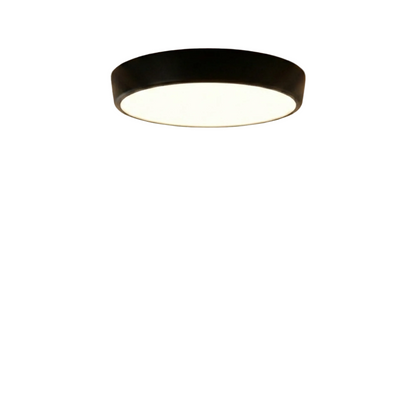 Viyan Ceiling Light.