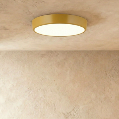 Viyan Ceiling Light.