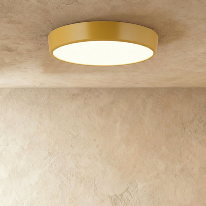 Viyan Ceiling Light.