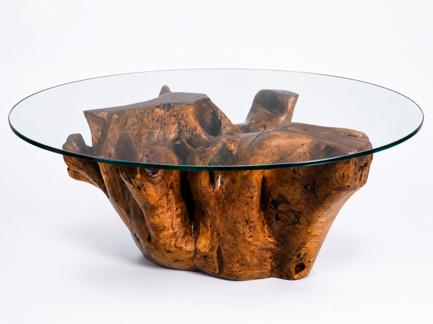 Sculptural Costa Rican Root Coffee Table Reserva Collection — No. 07