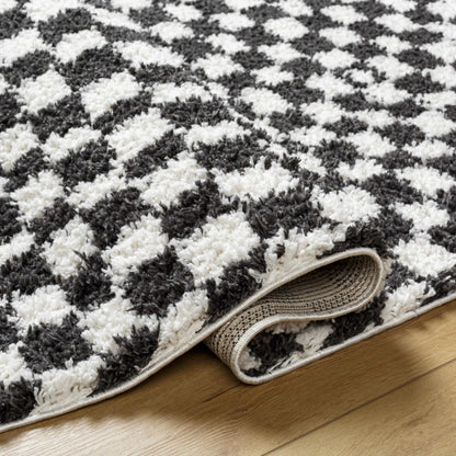 Kieu Black & White Checkered Shag Rug