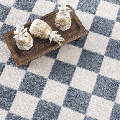 Brone Blue Checkered Washable Rug
