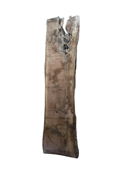 100" Walnut Slab