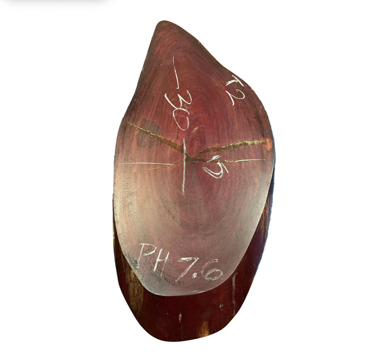 Losa de corte cruzado de corazón púrpura de 2" de espesor