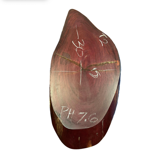 2" Thick Purple Heart Cross Cut Slab