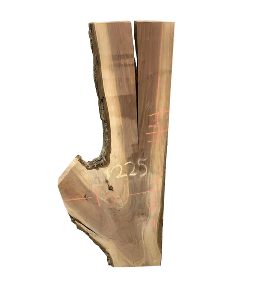 44” Walnut slab