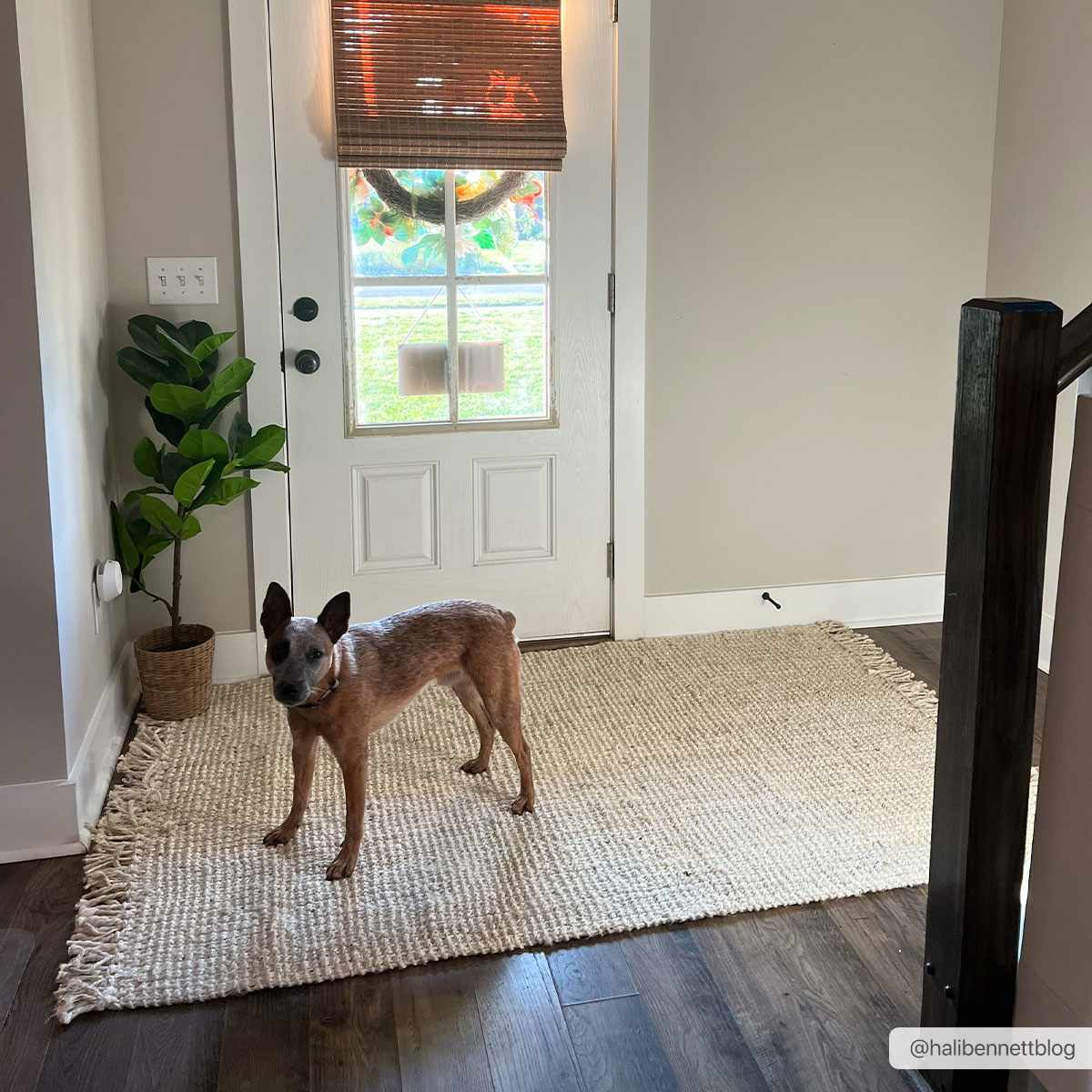 Senneterre Bleached Jute Rug.