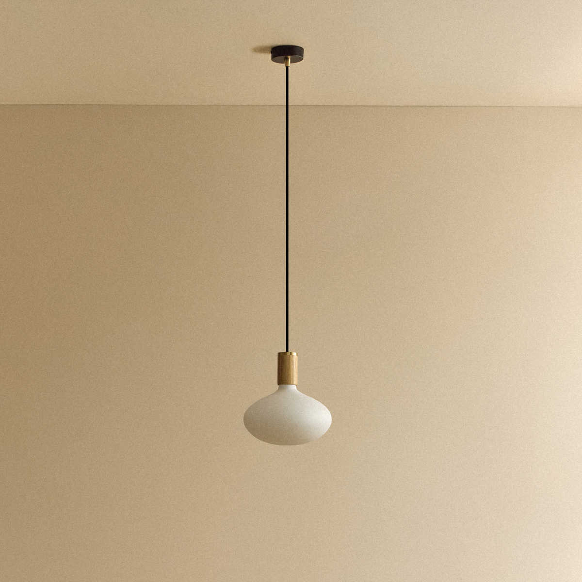 Oval II Pendant Light in Oak.