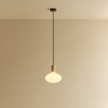 Oval II Pendant Light in Oak