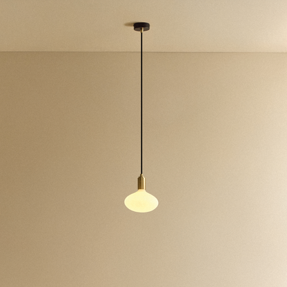 Oval Pendant Light in Brass.