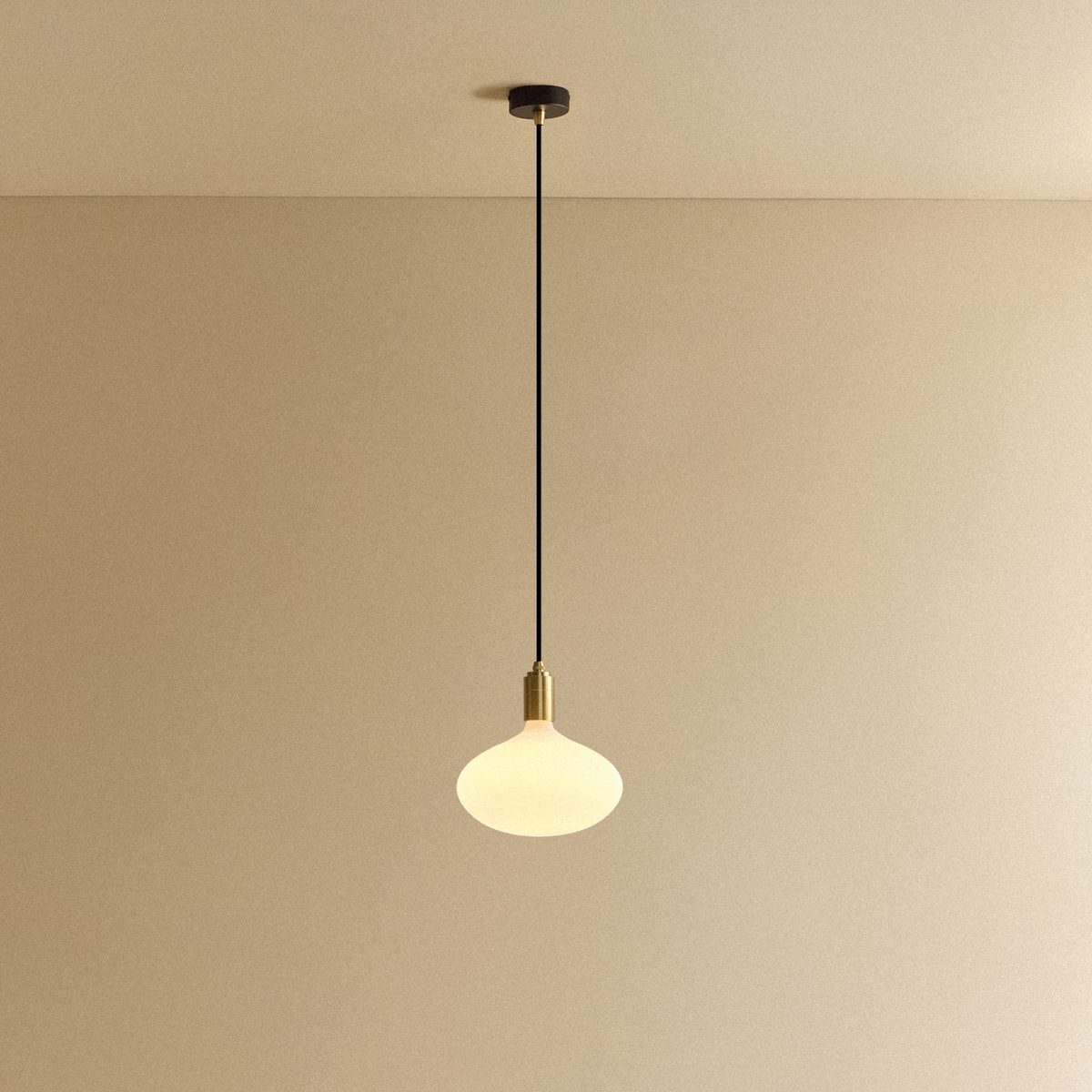 Oval II Pendant Light in Brass.