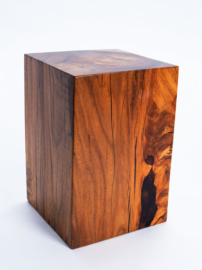 Sculptural Costa Rican Hardwood Stool / Side Table Reserva Collection — No. 03.