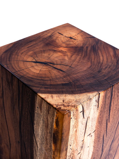 Sculptural Costa Rican Hardwood Stool / Side Table Reserva Collection — No. 03.