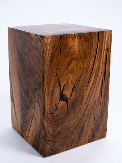 Sculptural Costa Rican Hardwood Stool / Side Table Reserva Collection — No. 04