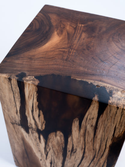 Sculptural Costa Rican Hardwood Stool / Side Table Reserva Collection — No. 04