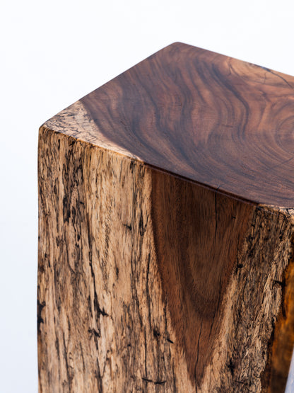 Sculptural Costa Rican Hardwood Stool / Side Table Reserva Collection — No.05.