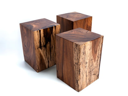 Sculptural Costa Rican Hardwood Stool / Side Table Reserva Collection — No. 04