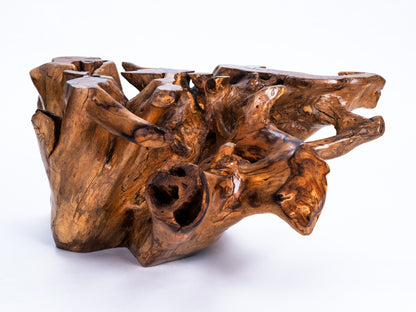 Sculptural Costa Rican Root Coffee Table Reserva Collection — No. 06