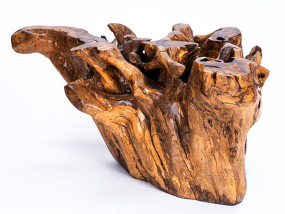 Sculptural Costa Rican Root Coffee Table Reserva Collection — No. 06