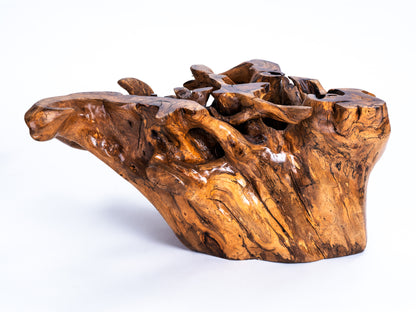 Sculptural Costa Rican Root Coffee Table Reserva Collection — No. 06