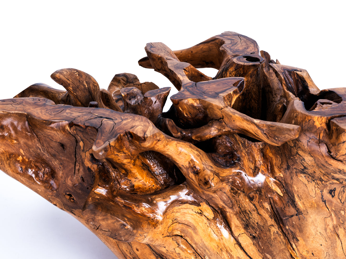Sculptural Costa Rican Root Coffee Table Reserva Collection — No. 06