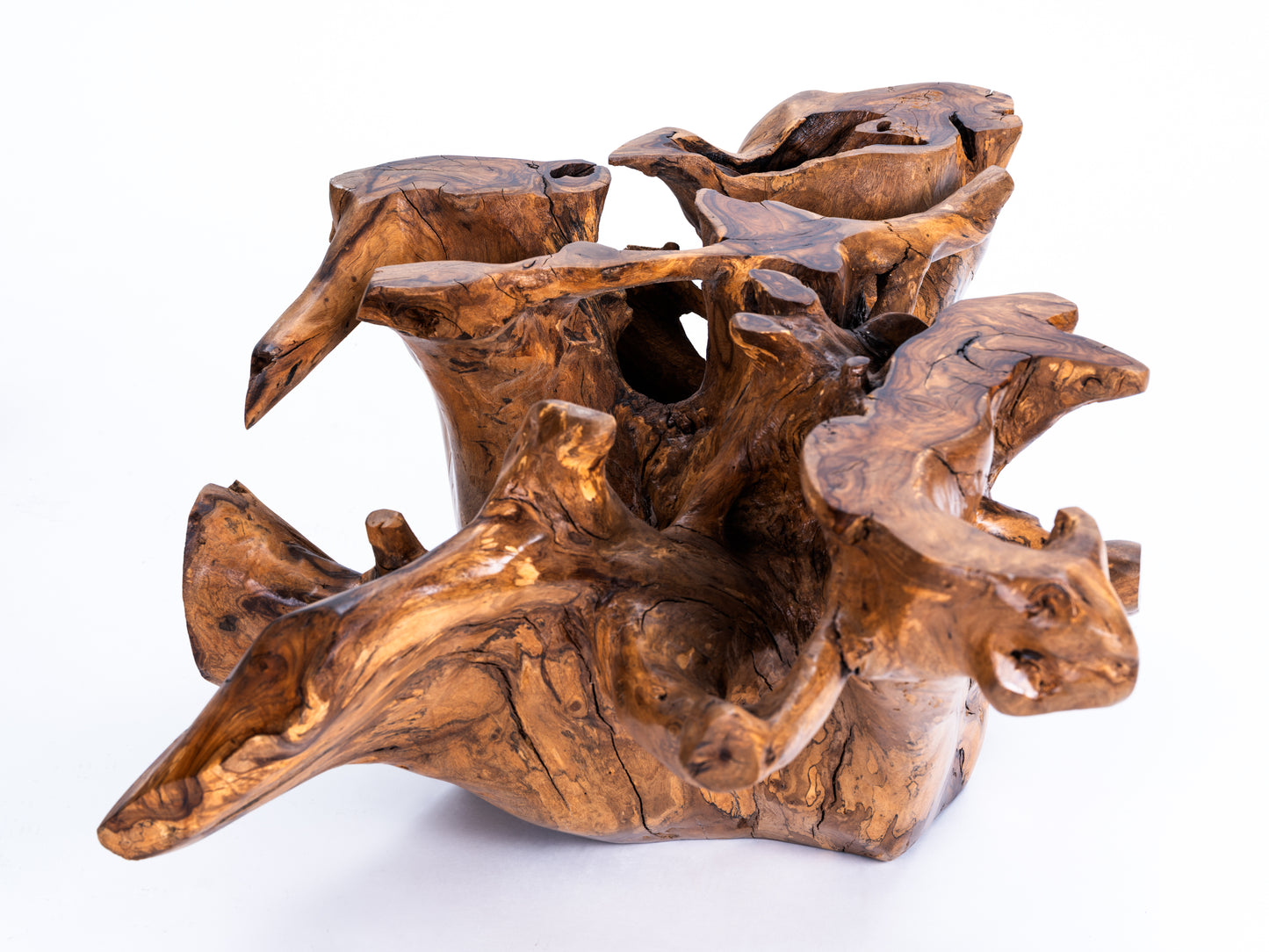 Sculptural Costa Rican Root Coffee Table Reserva Collection — No. 06